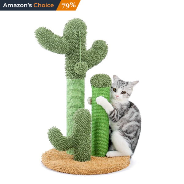 PAWZ Cactus Scratcher